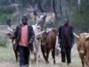farmers herders