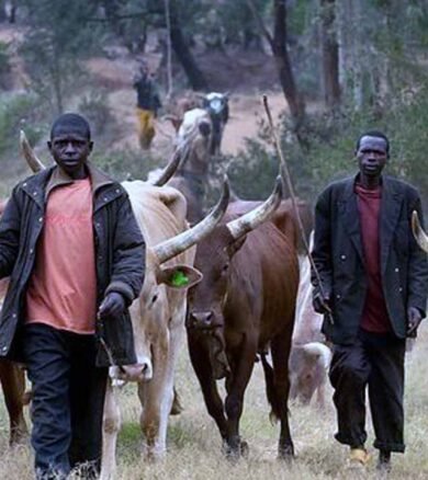 farmers herders